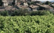 Vins Bio : InVivo Wine et Château Maris signent un accord de distribution mondiale