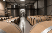 Vins : La coopérative viticole Laudun Chusclan Vignerons devient Maison Sinnae