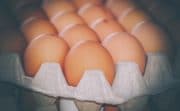 Avril promet des œufs 100% issus de poules élevées au sol en 2025