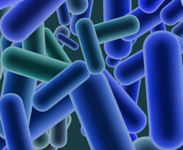 Sécurité alimentaire : Un test de Listeria optimisé par le séquençage de nouvelle génération (NGS)