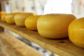 Produits laitiers : Une augmentation de 3 à 4% sur un an pour les yaourts et les fromages
