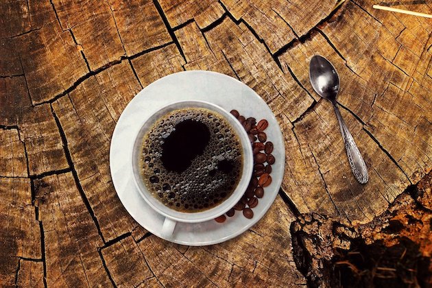 Innovation : Une variété hybride de café Arabica disponible pour la première fois sous forme de graines