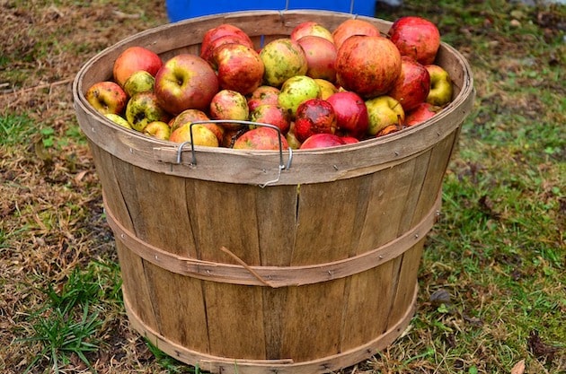 Cidre : Le CIF demande à ce que l’appellation «traditionnel» soit contrôlée