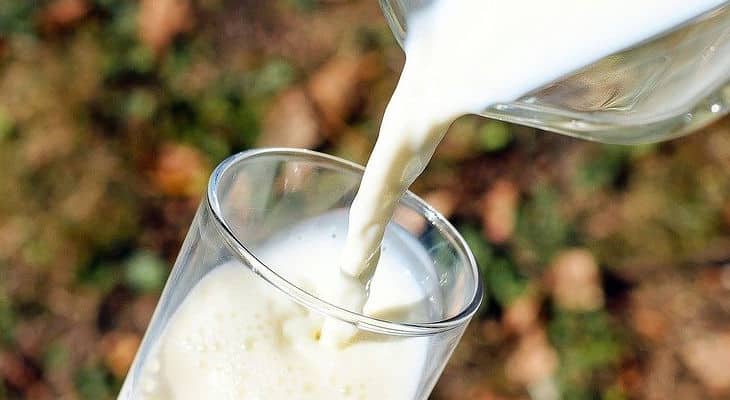 CHR Hansen réalise une percée scientifique dans la bioprotection laitière
