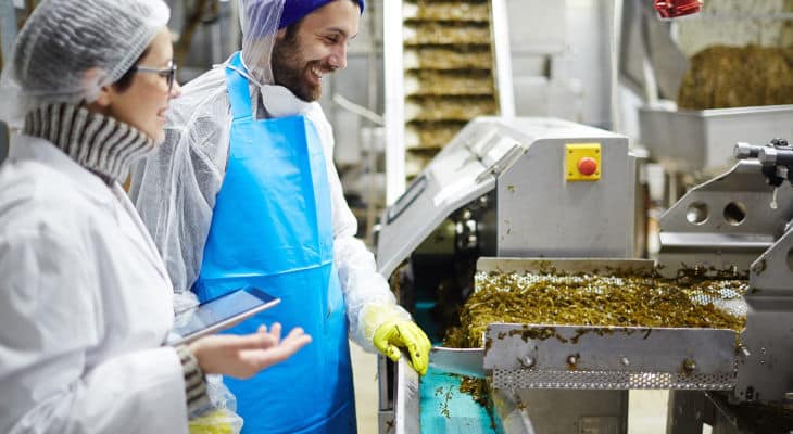 Algues : Sensalg.fr part à la conquête de l’agroalimentaire