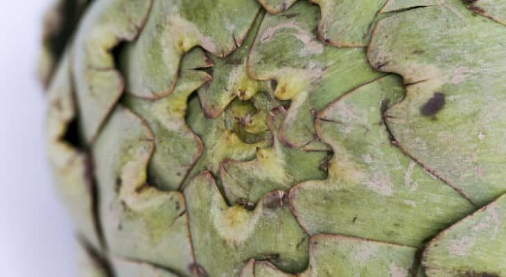 Eureden veut consolider le secteur du légume frais en Bretagne