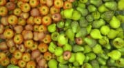 Une biosolution innovante pour la filière pommes-poires