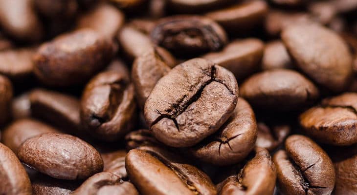 «Qualité du café» : De la culture aux procédés, un livre pour tout savoir