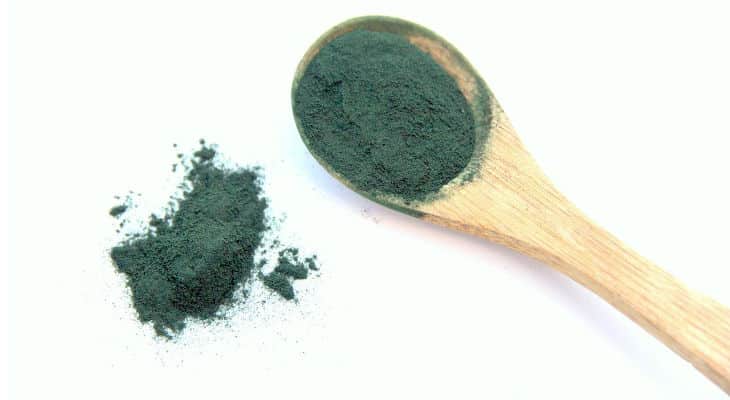 Spiruline : La production française devrait doubler d’ici 2022