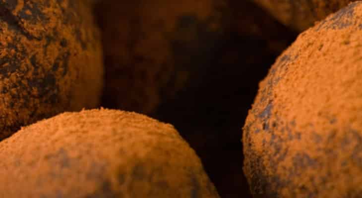 Cacao et chocolat : Caldic et Cargill étendent leur partenariat de distribution exclusive en France