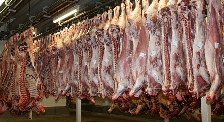 L’appel à projet pour la modernisation des abattoirs est lancé