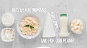 Remilk, société laitière sans animaux, obtient 11,3 millions de dollars en préparation de son lancement mondial