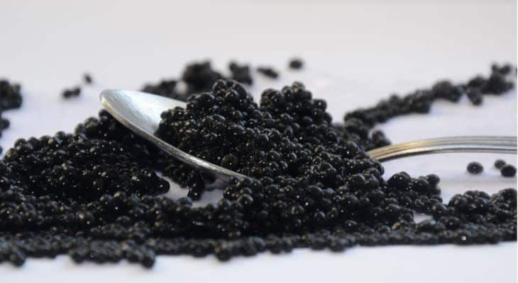 Caviar français : Une baisse limitée à 10% des ventes pour 2020
