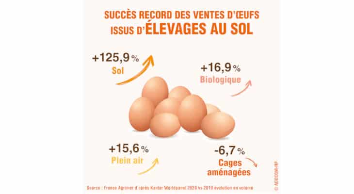 évolution des ventes d'oeufs en France