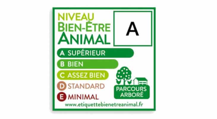 Après la volaille, l’étiquette Bien-Être Animal bientôt sur les produits porcins