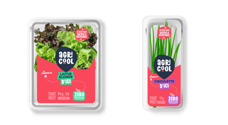 Emballage : Agricool opte pour un packaging rPET