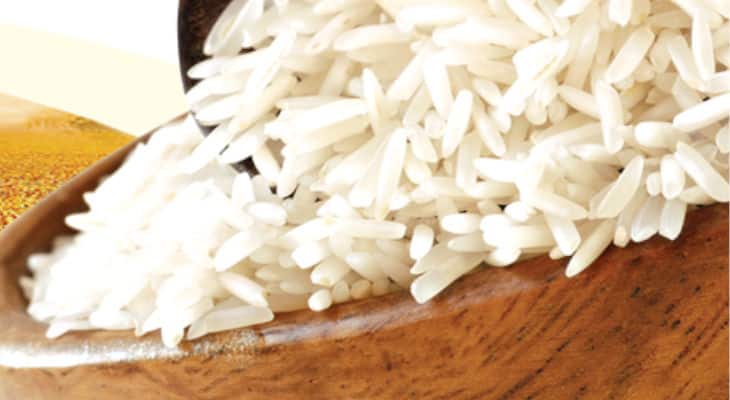 Le CARDI crée «Fleur de jasmin», une nouvelle variété hybride de riz plus résistante
