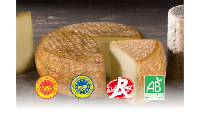 Pour embellir vos recettes, Sodiaal Fromages Solutions vous propose son large plateau de fromages labellisés