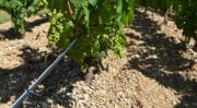 Soufflet Vigne devient le distributeur exclusif de la solution de câbles chauffants de Prysmian Group