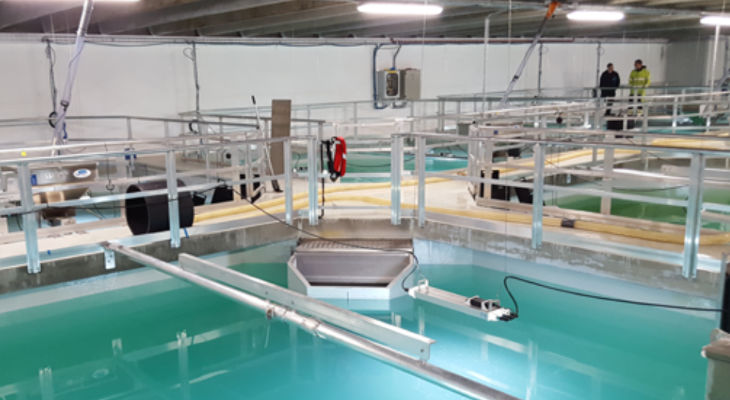 Pure Salmon France implante sa première ferme aquacole de saumon en France