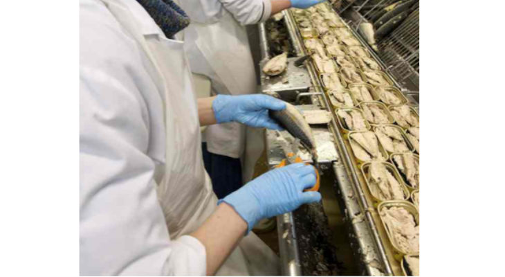 La conserverie Chancerelle déploie une démarche de pilotage de la performance sur son site de production sardines