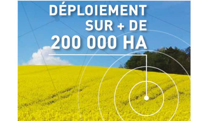Biosolutions : Agrauxine et Sumi Agro France accélérent le développement d’un biostimulant pour les grandes cultures