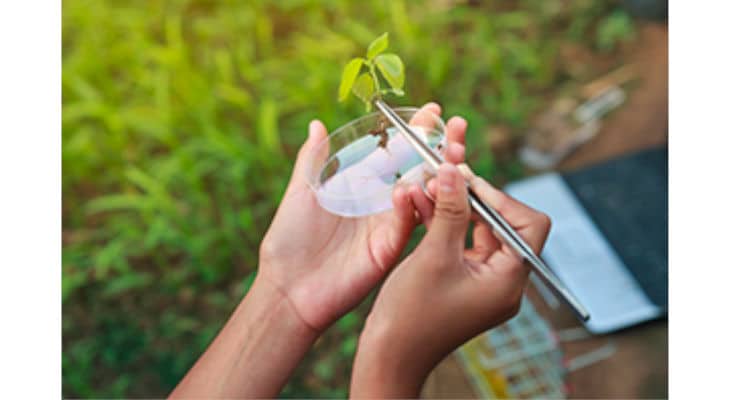 Capagro : 200 millions d’euros pour accompagner les start-up de l’AgTech et de la FoodTech