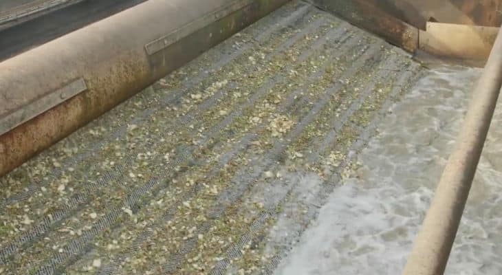 Avec BWT, Cristal Union recycle l’intégralité de l’eau extraite des betteraves lors du processus de production