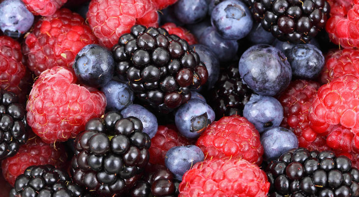 Approvisionnement et traçabilité : Antares Vision numérise des milliards de fruits pour le consommateur