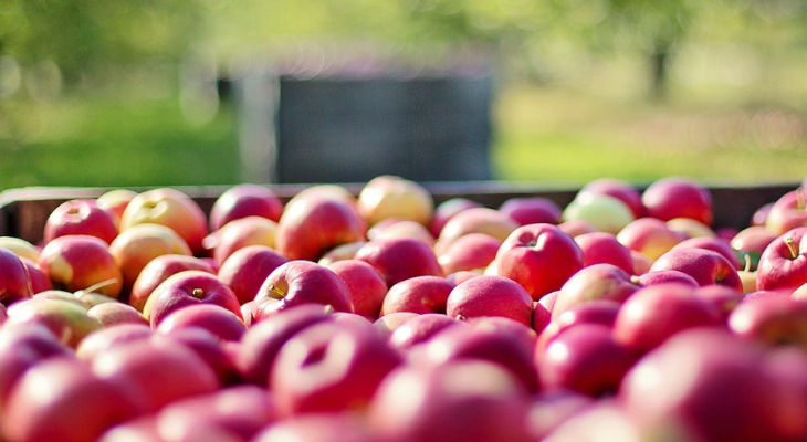 Les Magasins U sécurisent la totalité de leur approvisionnement en jus de pomme français