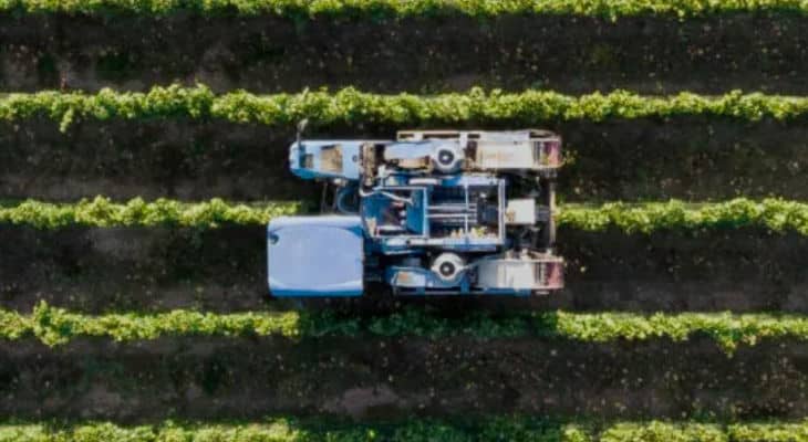 Agritech : 490 millions d’euros levés en 2022 pour répondre aux enjeux mondiaux