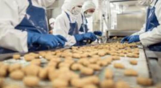 Que contient le plan de soutien pour les industries agroalimentaires ?
