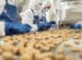 Que contient le plan de soutien pour les industries agroalimentaires ?