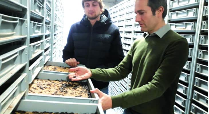Invers Aura inaugure son nouveau bâtiment d’élevage d’insectes automatisé de plus de 4000 m2