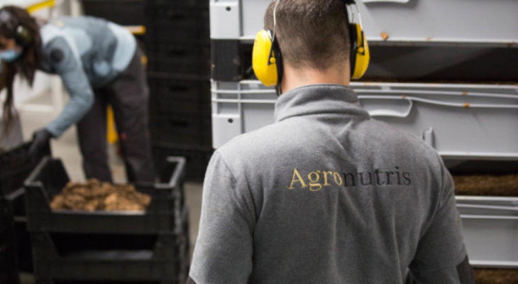 Insectes : Agronutris va implanter sa seconde usine à Rethel pour en faire le plus gros site industriel du monde