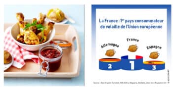 Consommation, production, importation… : La filière française de volaille vent debout !