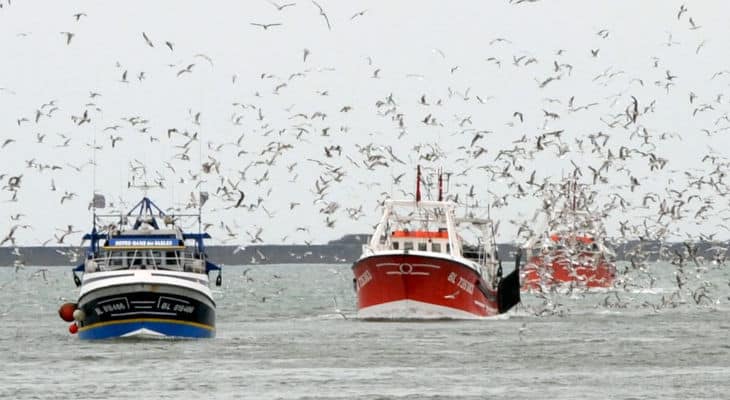 La pêche en France : Une activité économique essentielle