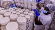 La Fromagerie Laïta d’Ancenis se modernise