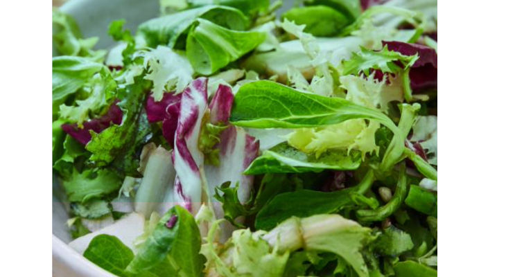 Les Crudettes reprend l’activité salades de Bonduelle avec le feu vert de l’Autorité de la concurrence