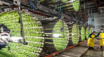 FAC Capital annonce un investissement de 2 milliards de dollars pour dynamiser l’innovation agroalimentaire au Canada