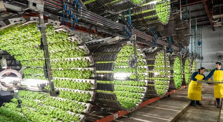 FAC Capital annonce un investissement de 2 milliards de dollars pour dynamiser l’innovation agroalimentaire au Canada