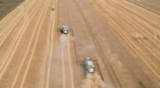 Les semences fourragères à portée de clic : Adoptez Farmi, la solution pour les agriculteurs et les professionnels du secteur !