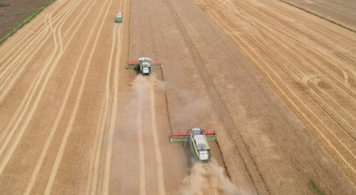 Les semences fourragères à portée de clic : Adoptez Farmi, la solution pour les agriculteurs et les professionnels du secteur !