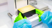 Levures innovantes : Lesaffre et MicroBioGen s’allient pour transformer l’agroalimentaire