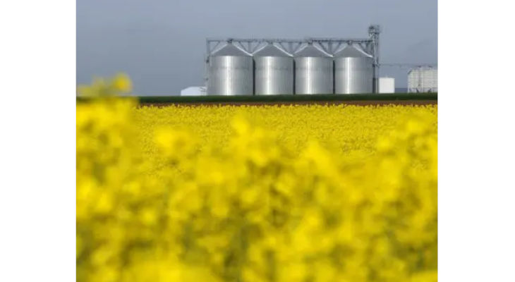 Le groupe Sofiprotéol devient Avril : Une nouvelle étape stratégique pour les filières huiles et protéines