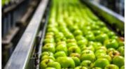 BIO-UV Group mise sur l’ozone pour optimiser la gestion de l’eau dans l’agroalimentaire