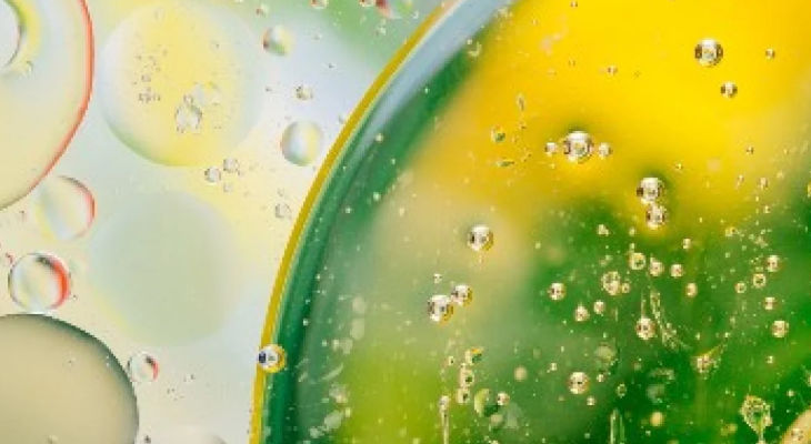 Journée Arômes 2025 : Les grandes tendances de l’aromatique alimentaire décryptées