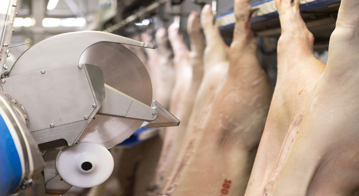 SBAG modernise le traitement du porc avec la robotique M-Line de Marel