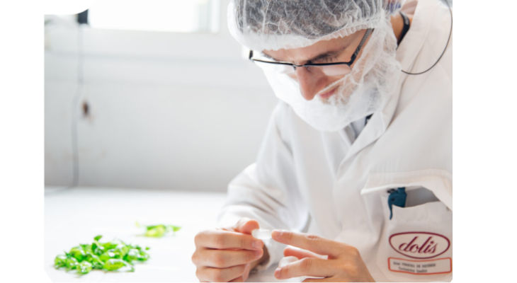 Sucralliance mise sur l’innovation et investit 13 millions d’euros en Bourgogne