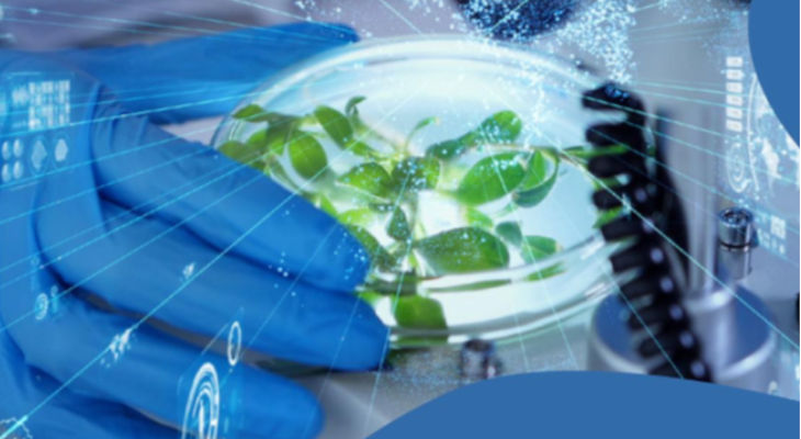Tendances agroalimentaires : FIE Paris 2025 promet un panorama complet pour les cinq prochaines années